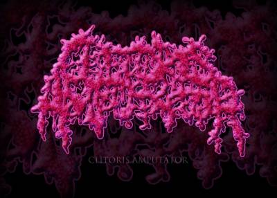 logo Clitoris Amputator